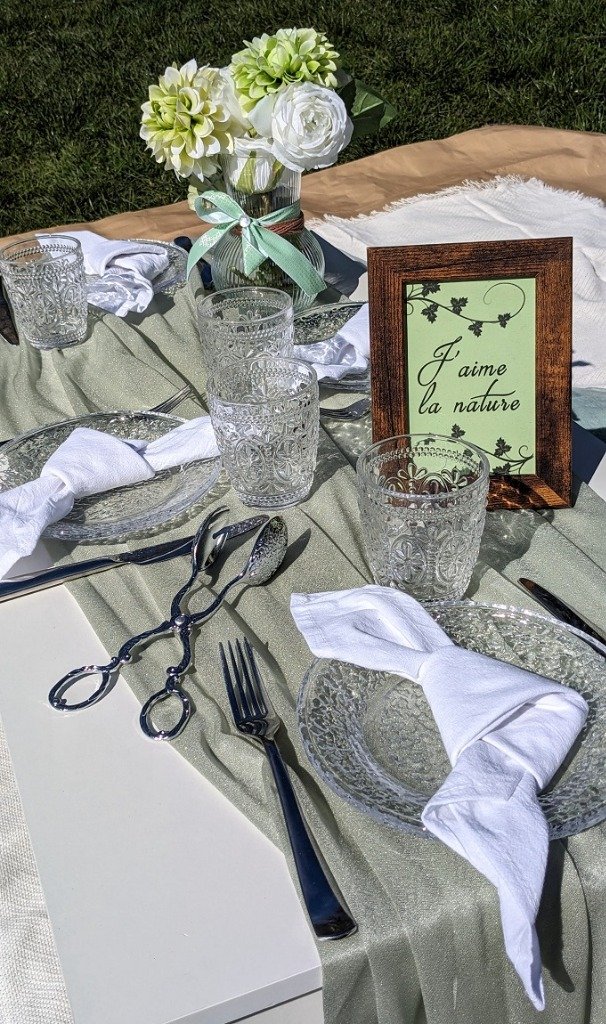 Décoration pique-nique élégant